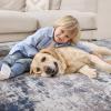 image5 x 7 Area Rugs for Living RoomNon Slip Area Rug Machine Washable Rug Carpet Ultra Soft Shaggy Fluffy Rug Abstract Modern Rug for Bedroom Playroom Dining Room Office Under Bed Table