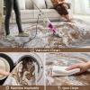 image5x7 Area Rugs for Living Room Modern Abstract Rug for Bedroom Contemporary Machine Washable Rug Large Stain Resistant Carpet for Dining Room Playroom Home Office Pet ampamp Kids FriendlyGold