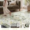 imagePADOORVintage Area Rug 5X7 Rugs for Living RoomSoft Beige Rugs for BedroomMachine Washable Rugs Non Slip CarpetRug for Dining Room Living Room Bedside OfficeGreen