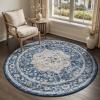 imagePADOORVintage Area Rug 5X7 Rugs for Living RoomSoft Beige Rugs for BedroomMachine Washable Rugs Non Slip CarpetRug for Dining Room Living Room Bedside OfficeBlue