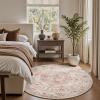 imagePADOORVintage Area Rug 5X7 Rugs for Living RoomSoft Beige Rugs for BedroomMachine Washable Rugs Non Slip CarpetRug for Dining Room Living Room Bedside OfficePink
