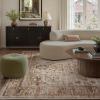 imagePADOORArea Rug 5X7 Rugs for Living RoomVintage Soft Green Rugs for BedroomMachine Washable Non Slip Rug for Dining Room Living Room Bedroom OfficeBrown