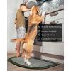 image:imagePADOOR Kitchen Mats for Floor Kitchen Rugs Non Slip Washable Rubber Backed Kitchen Runner Super Absorbent Kitchen Floor Mat Sink Rug 20x32 TealGreen